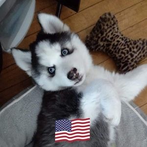 Meet your Posher, Heidi